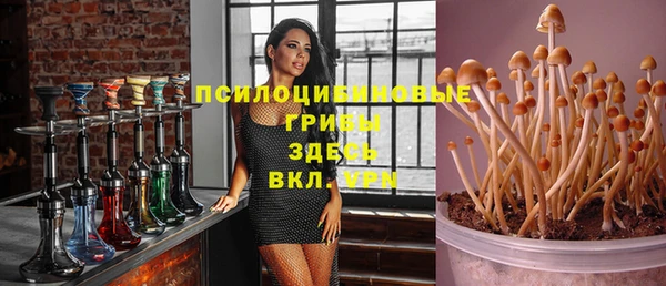бутират Алзамай
