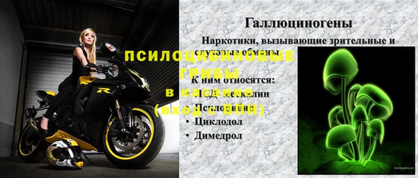 ПСИЛОЦИБИНОВЫЕ ГРИБЫ Алексин