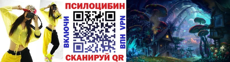где продают   Бежецк  кракен зеркало  Псилоцибиновые грибы мухоморы 