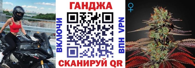 магазин продажи наркотиков  Бежецк  Канабис марихуана 